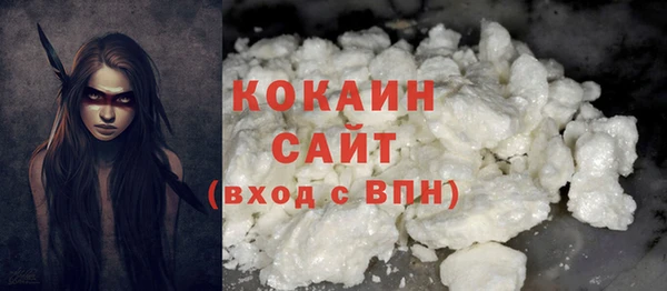 кокс Елизово