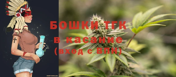 мдпв Елабуга