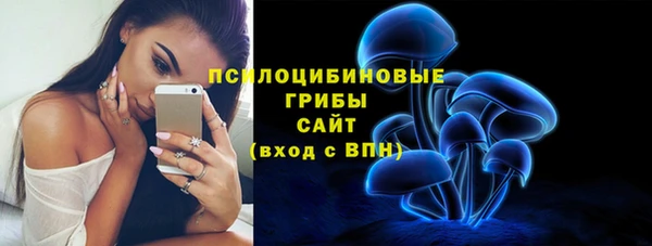 мдпв Елабуга