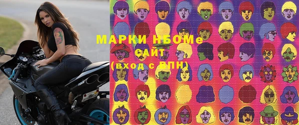 мдпв Елабуга
