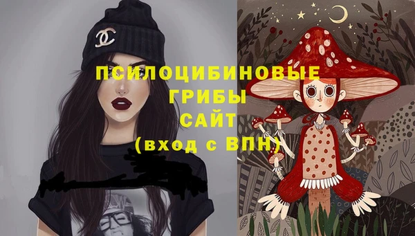 кокс Елизово