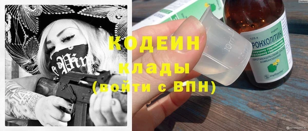 мдпв Елабуга