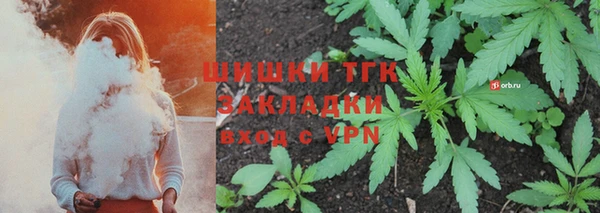 мдпв Елабуга