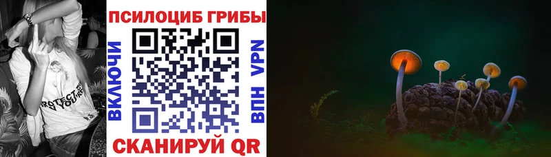 Галлюциногенные грибы прущие грибы  Заполярный 