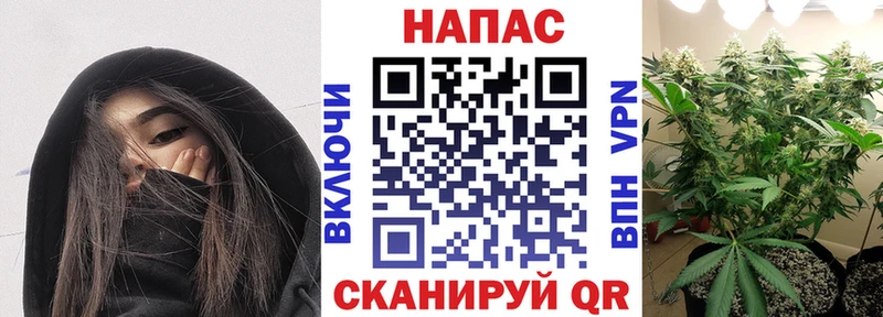 наркотики  Заполярный  Канабис планчик 